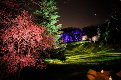 Lighting designed for the backyard landscaping provided guests with a view all the way to Rock Creek Park.