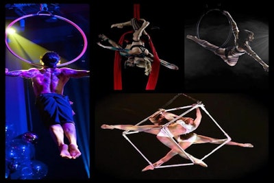 Aerial Multi-Pic