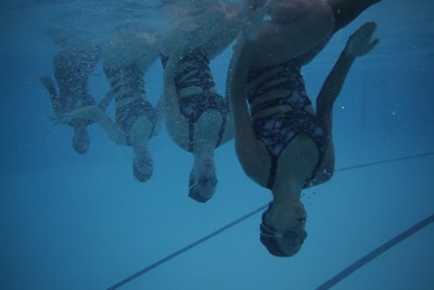 Zen Arts Swimmers