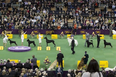 3. Westminster Kennel Club Dog Show