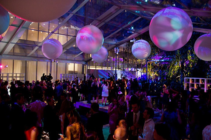 3. Museum of Modern Art's Party in the Garden
