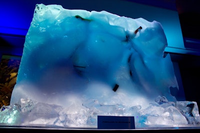 IFC hosted the season 3 premiere for Portlandia in New York in 2012, where the space was filled with ice sculptures and quirky centerpieces. The event's central installation was a 5½- by 5½-foot block of ice containing a frozen bike.