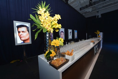 Bars set up just outside the presentation area offered bowls of curried mixed nuts, rosemary potato chips, and cheese straws. The display screens behind the bar rotated photos of USA Network stars.