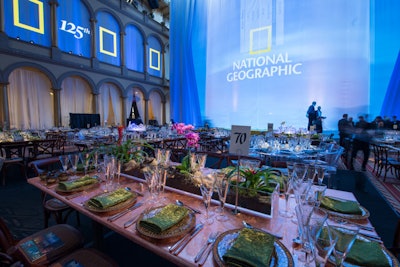 Living plants served as centerpieces on select tables.