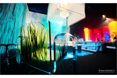 Bubble’s Acrylic Grass chair