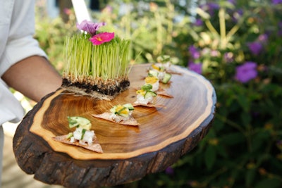 Rock shrimp ceviche, coconut and lemongrass reduction, taro chip