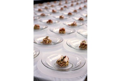 Plating up lobster salad