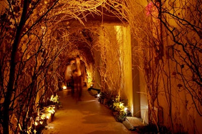 Inspired by Shaker culture, Fleurs Bella filled a raw New York space with tools, objects made from organic materials, aromatic plants, wooden doors, baskets, and other paraphernalia for the Brooklyn Academy of Music's 2007 Next Wave gala. One hallway was lined with willow and maple trees.