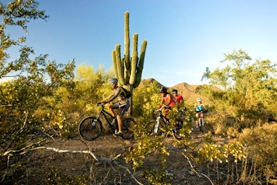 Mountain Biking