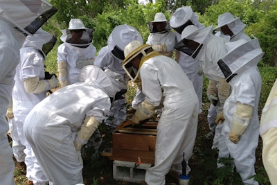 Located about 45 minutes outside of Dallas in Copper Canyon, Round Rock Honey Beekeeping School can accommodate groups of many as 25 people for a lesson in the art of beekeeping. Ideal for teambuilding events, the class costs $40 per head, lasts between two and three hours, and includes all of the appropriate gear.