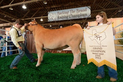 5. Texas State Fair