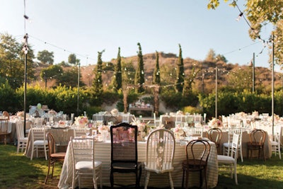 Mixed Farm Chairs Reception Seating