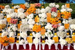 At the Veuve Clicquot Polo Classic, a 3-D arrivals area evoked a vintage flower stand with bottles potted as plants and logo plaques on wooden sticks growing up from moss.