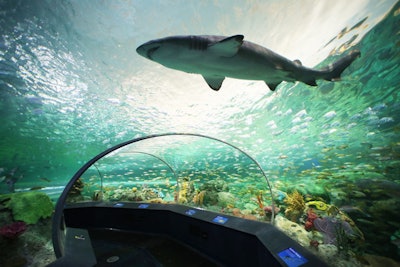 1. Ripley's Aquarium of Canada