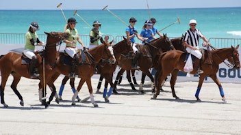 5. Miami Beach Polo World Cup