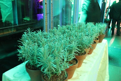 As a parting gift for guests, staffers handed out potted lavender plants.