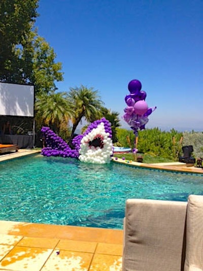 Purple Shark