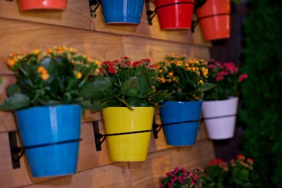 A feature wall near the entry held rows of colorful potted plants.