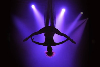 Aerial net