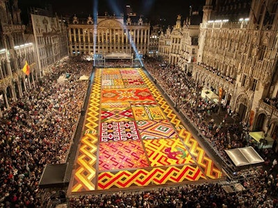 Brussels Flower Carpet