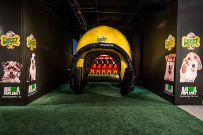 An inflatable football helmet marked the entryway to the main area of the Puppy Bowl Experience.