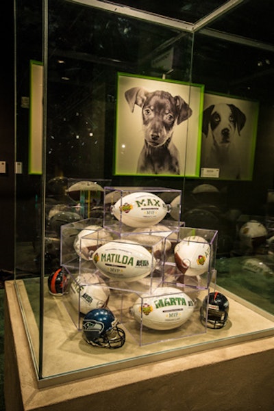 Animal Planet celebrated the 10th anniversary of its Puppy Bowl programming with an interactive event in Times Square. To commemorate past Puppy Bowls, a hall of fame wall showcased portraits of puppy V.I.P.s as well as memorabilia.