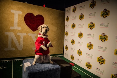 Live puppies posed for photo ops in designated areas. Members of the A.S.P.C.A. were on hand to ensure the dogs' comfort and safety.