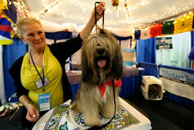 8. AKC Meet the Breeds