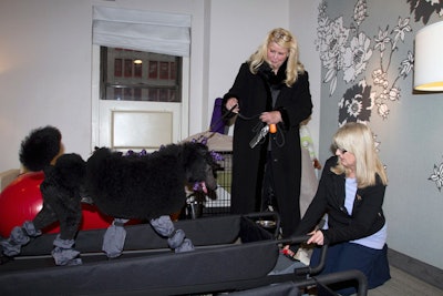 Special canine treadmills from DogTread let dogs exercise without braving the winter elements in a suite at the Affinia Manhattan hotel.