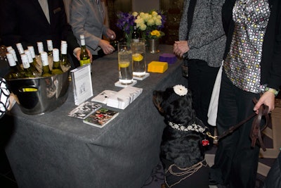 At the Wags and Wines Reception, dogs were welcomed by play stations designed by Architecture for Dogs, a fashion display of protective outerwear for pets from Spot the Dog, and other treats. The hotel also collected donations for the Humane Society of New York.