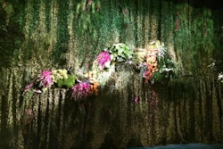 At this year's Academy of Motion Picture Arts and Sciences' Oscar Governors Ball, vertical garden walls by Mark's Garden will provide a dramatic design element.