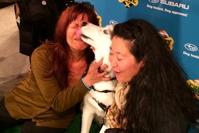 A 'Kiss Cam' photo booth, sponsored by Subaru, let guests pose for pictures alongside the dogs.