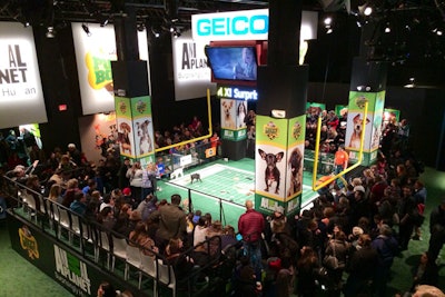 Puppy Bowl Experience