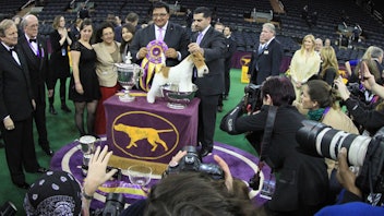 4. Westminster Kennel Club Dog Show