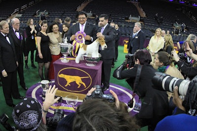4. Westminster Kennel Club Dog Show