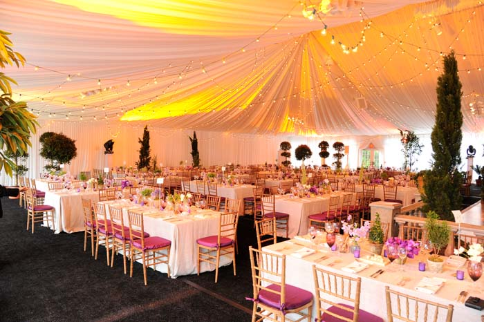 2013 Conservatory Ball