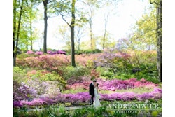 A moment in the gardens