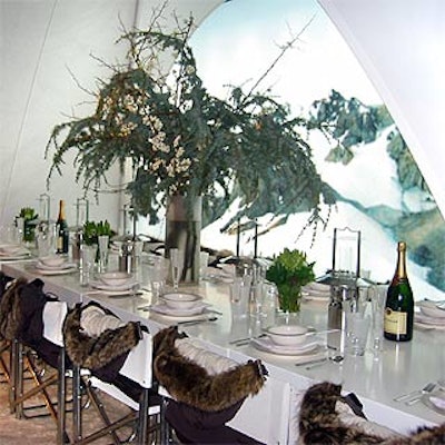 At the Design Industries Foundation Fighting AIDS' Dining by Design benefit, Nautica designer David Chu created a cool Alpine environment with a white tent, a parka at each chair and a giant backlit photo of snow-covered mountains.