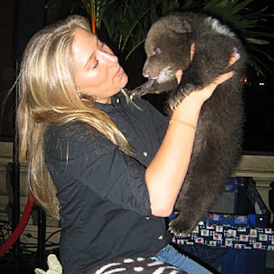 At the National Geographic Channel's upfront presentation, All Star Animals brought a Syrian black bear cub, among other animals, to the event to promote the channel's wildlife programming.