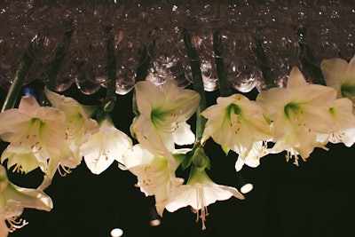 Flowers as Chandeliers