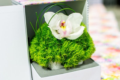 Guests left with boxes holding tiny floral arrangements.