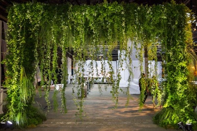 Foliage used in the entry gate to the event included passion flower vine, plumosa fern, ming fern, steel grass, and sheet moss.