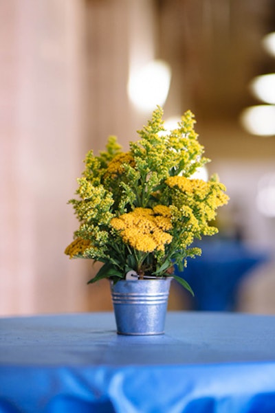 Before dinner, guests gathered on the opera's mezzanine for a cocktail reception. Tables had bright blue linens and small vases of wildflowers that could have been plucked from a mountainside.