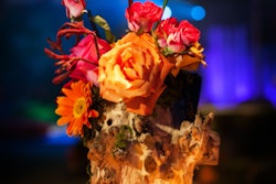 Similar to branches, stumps are creative replacements for expensive vessels and leave more funds for flowers. Showorks dresses up the humble tree trunk with vibrant roses and gerbera daises.