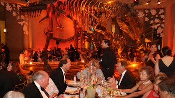 9. Natural History Museum of Los Angeles County's Dinosaur Ball