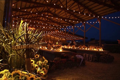 Italian bistro lights zigzagged above guests at an outdoor wedding reception