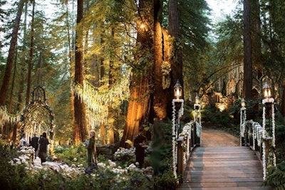 Uplighting in amber wash of redwood forest trees at outdoor wedding and reception in Big Sur, California