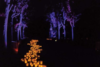 Uplight illuminate in bold colors of outdoor trees and candlelight create an ethereal path for guests