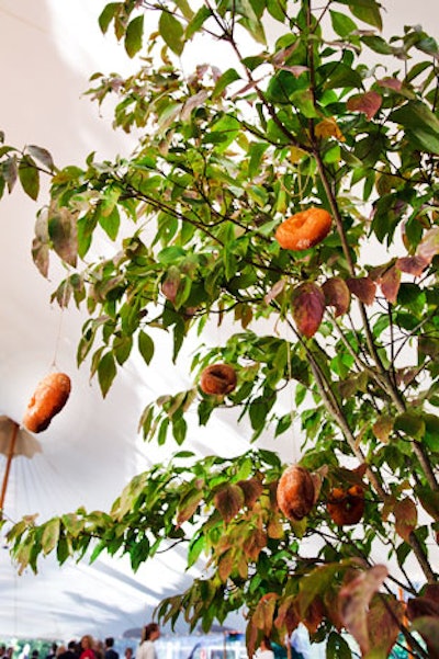 A Thyme to Cook in Connecticut used string to hang cake doughnuts from the branches of a living tree at a recent event.