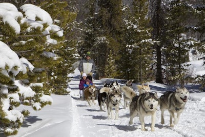 Good Times Adventures Dog Sledding